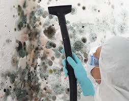 Chattahoochee Hills, GA Mold Removal Company